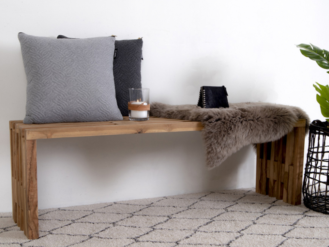 Penkki 'Coloma' - Luonnonvärinen