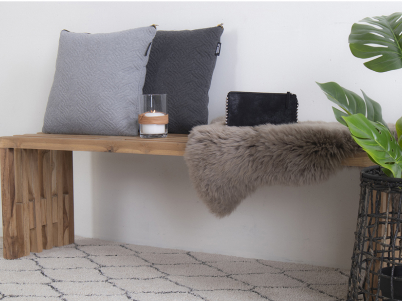 Penkki 'Coloma' - Luonnonvärinen