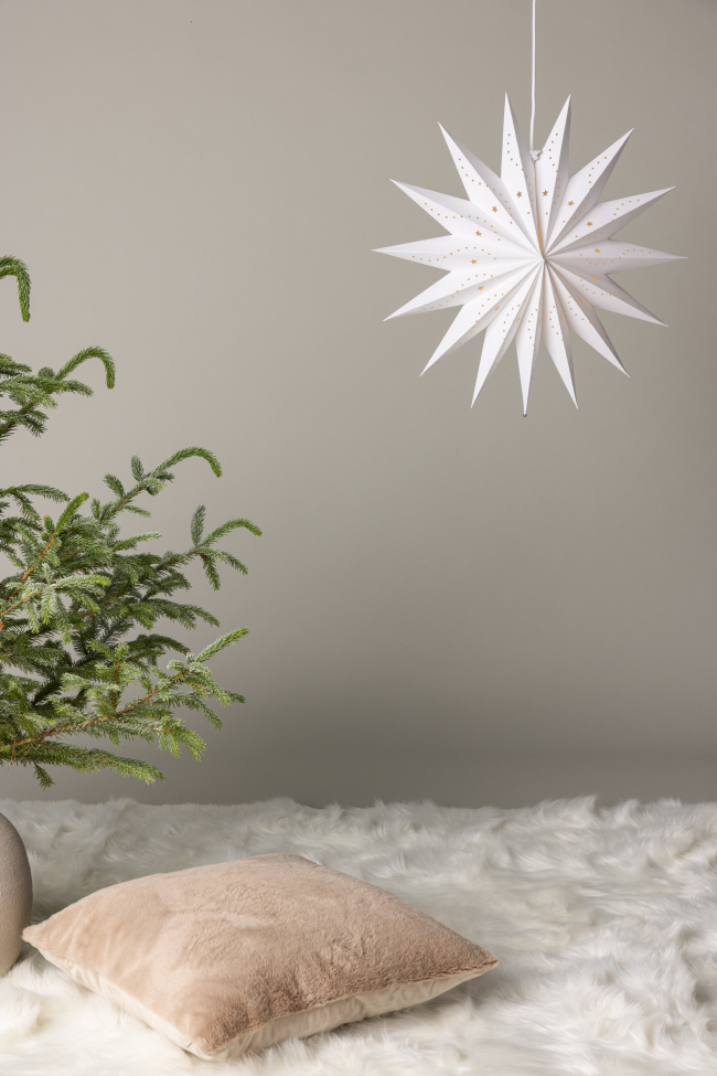 Joulutähti 'Sala' - Valkoinen