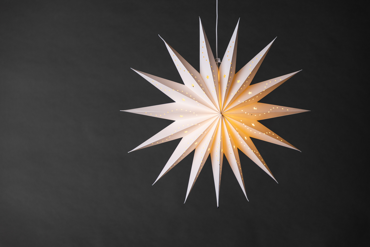 Adventtitähti 'Laholm' - Valkoinen