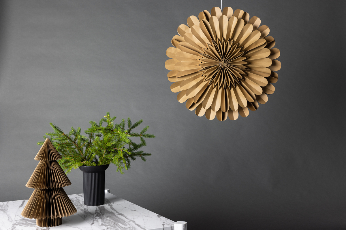 Adventtitähti 'Mora' - Ruskea