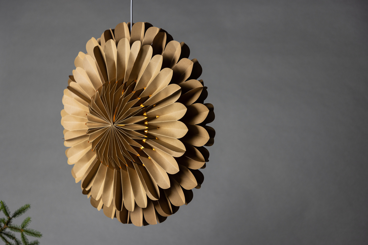 Adventtitähti 'Mora' - Ruskea