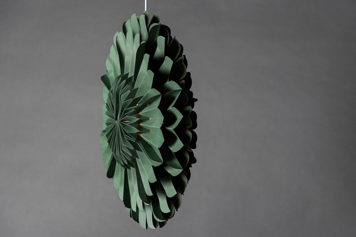 Adventtitähti 'Mora' - Vihreä