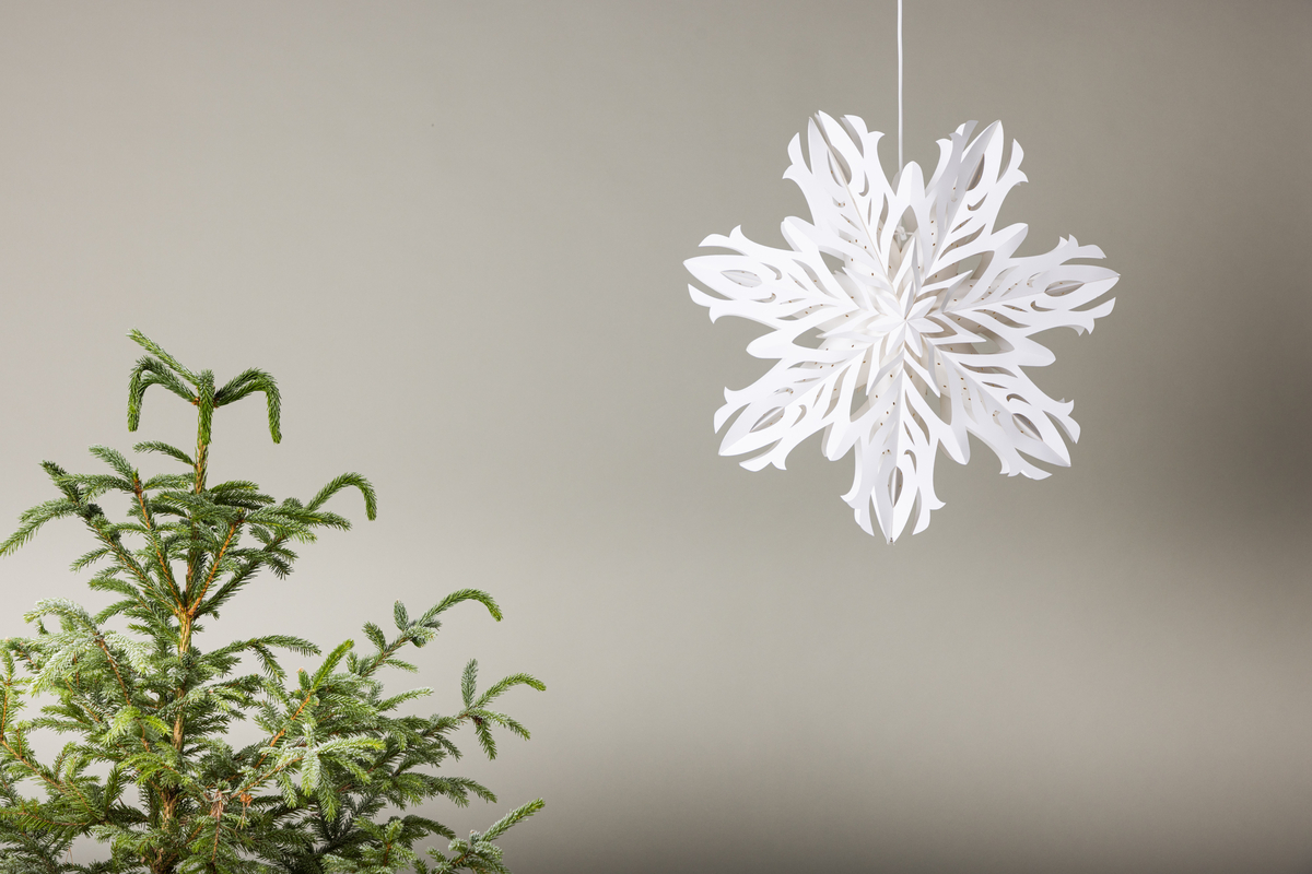 Adventtitähti 'Kungälv' - Valkoinen