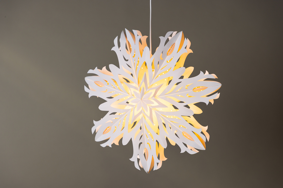 Adventtitähti 'Kungälv' - Valkoinen