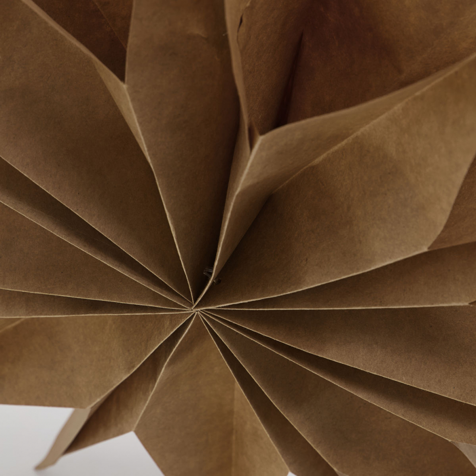 Joulutähti 'Capella' L - Luonnonväri