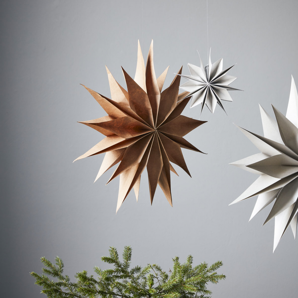 Joulutähti 'Capella' L - Luonnonväri