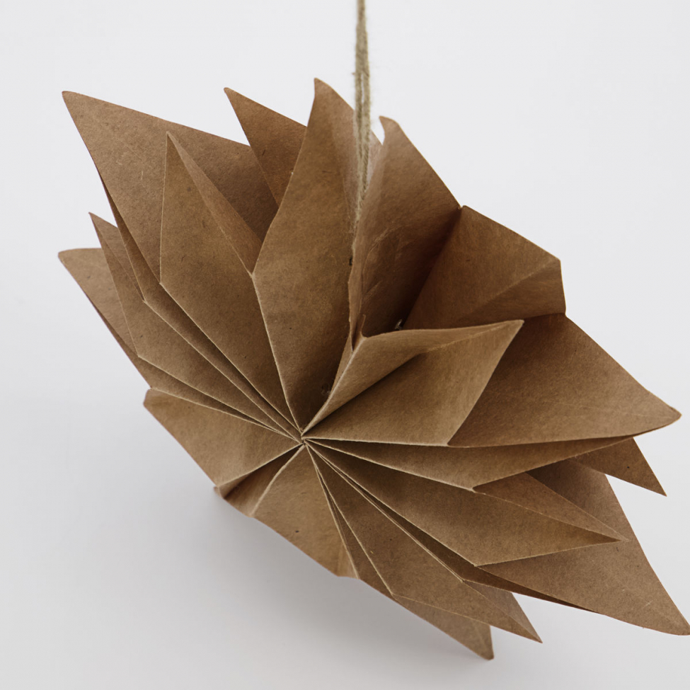 Joulutähti 'Capella' S - Luonnonväri