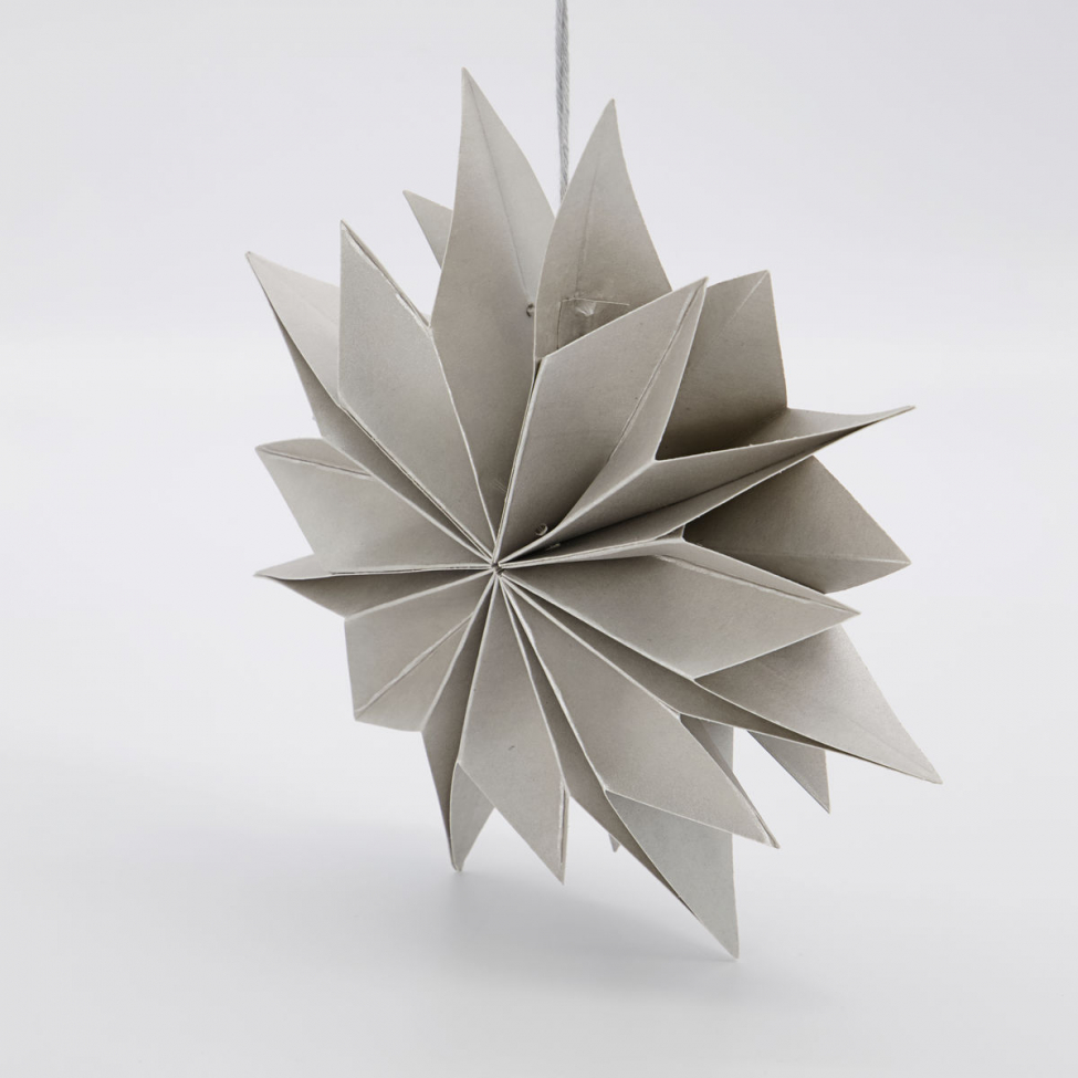 Joulutähti 'Capella' - Helmi