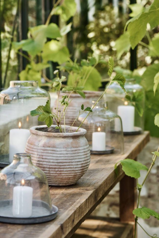 Hyllykköpenkki 'Unique' - Luonnonväri