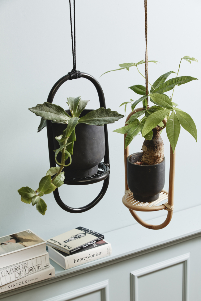 Liikennevalo 'ELBA' - Luonnonväri