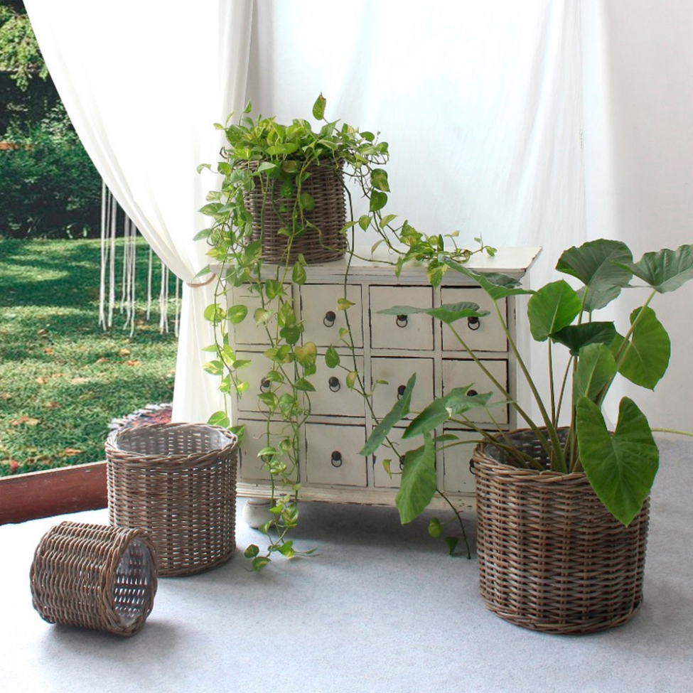 Korot 'Bogor' 4-pakkaus - Luonnonvärinen