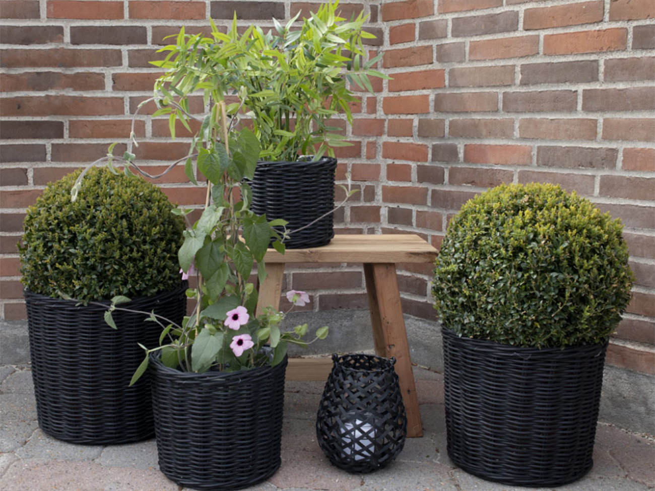 Korot 'Bogor Black' 4-pakkaus - Musta