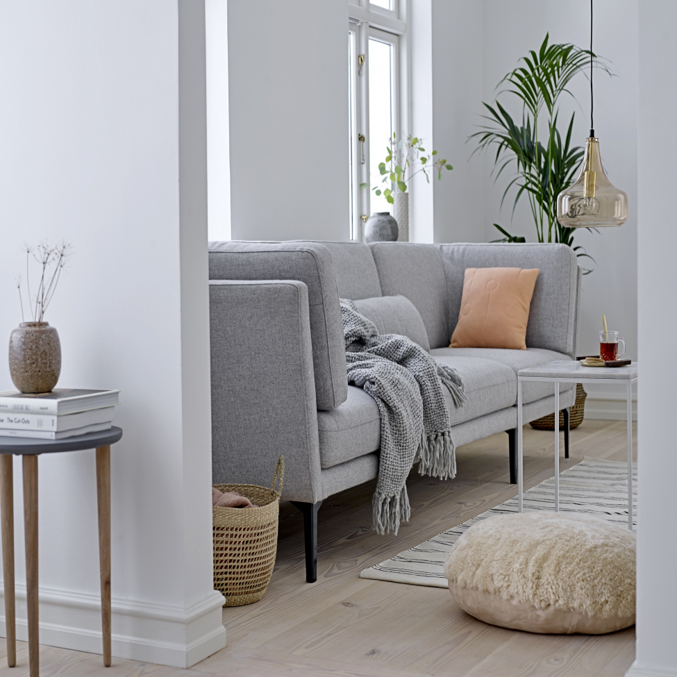 Kattovalaisin 'Yuser' - Ruskea