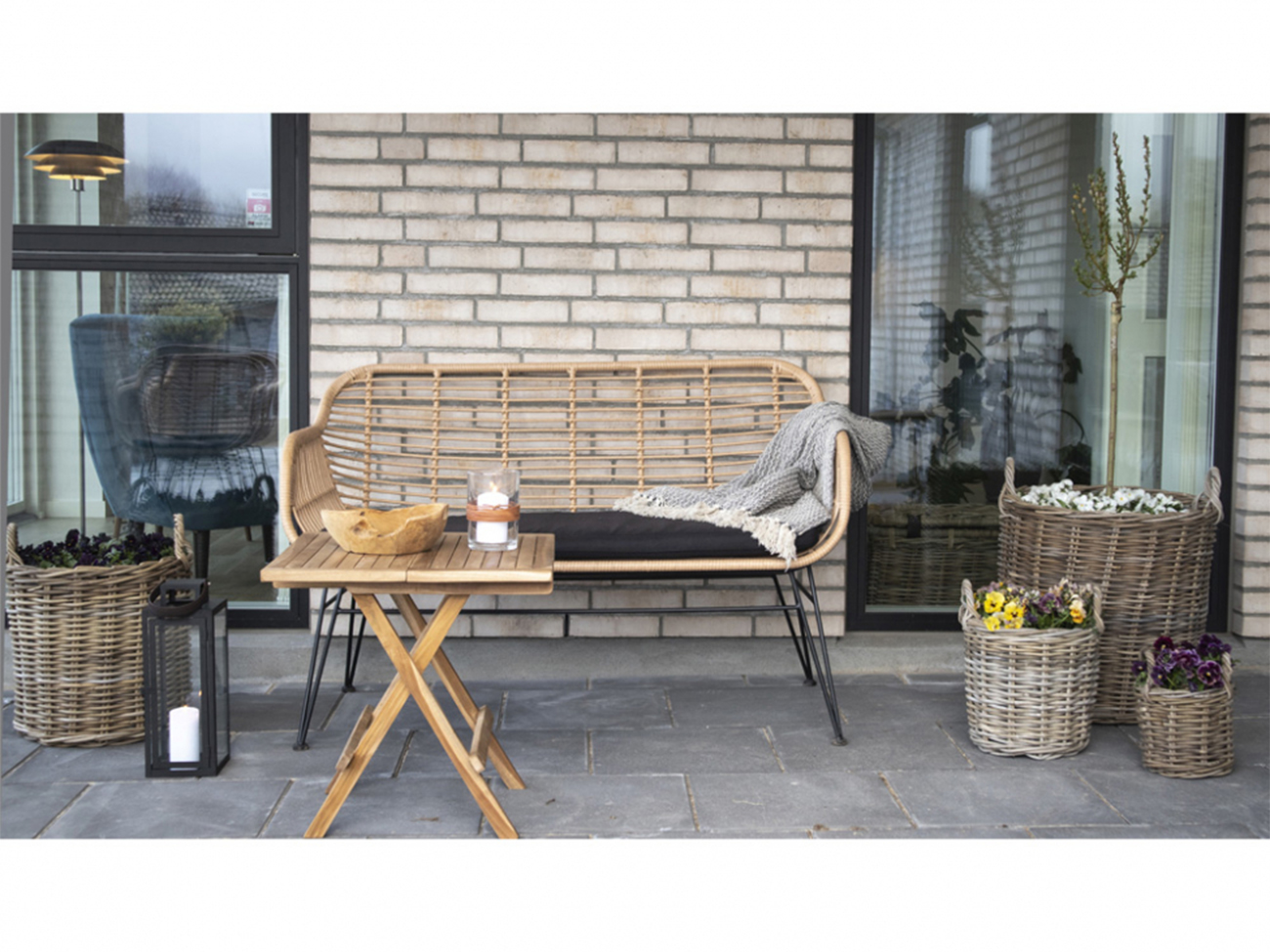 Soija 'Trieste' - Luonnonväri