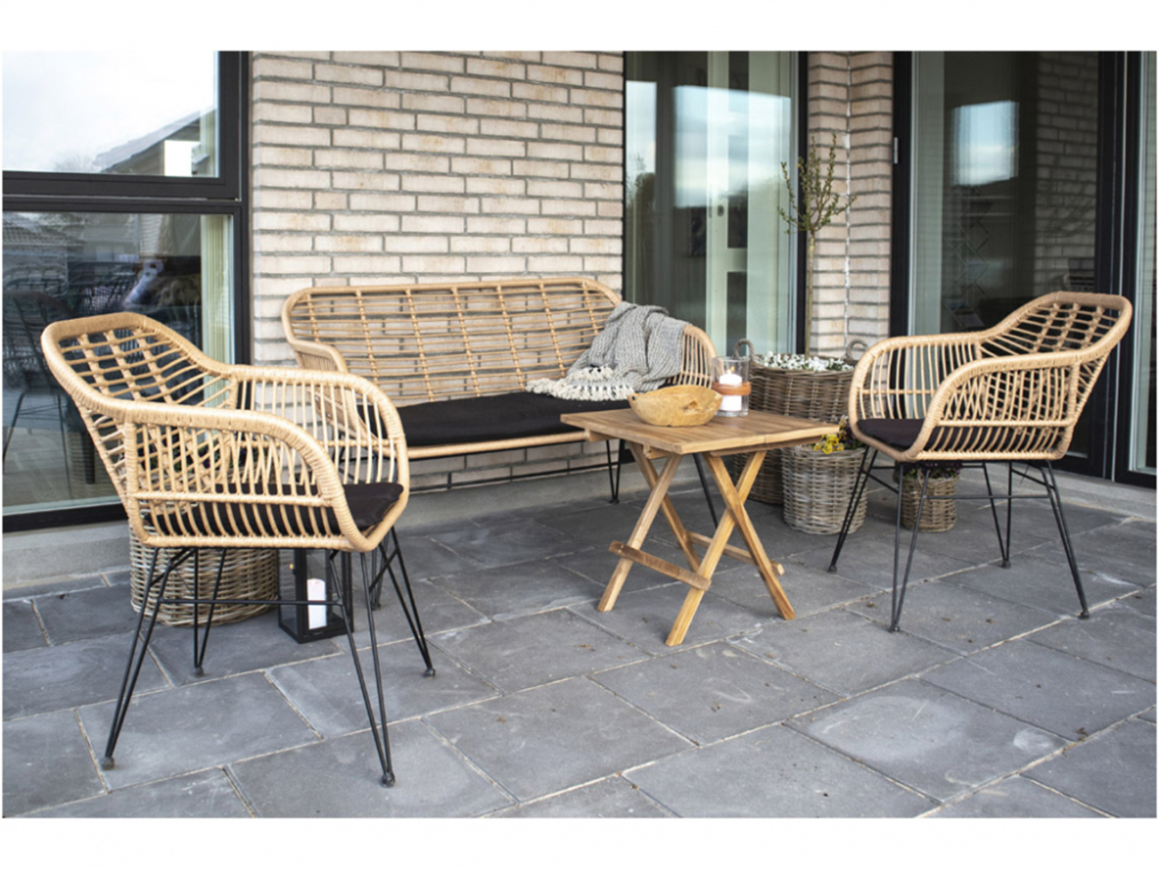 Soija 'Trieste' - Luonnonväri