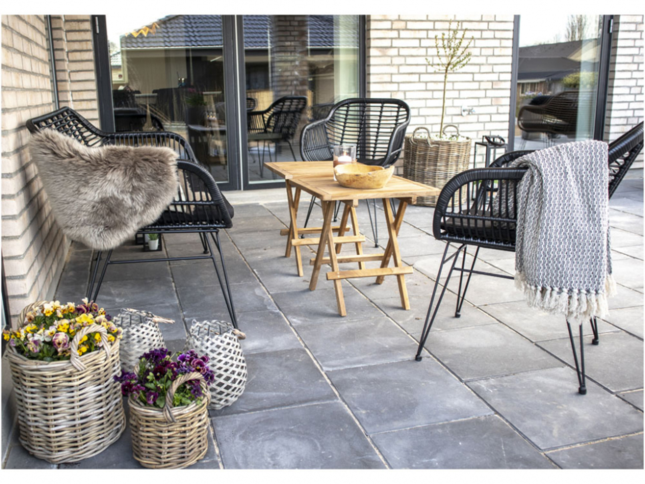 Soija 'Trieste' - Musta