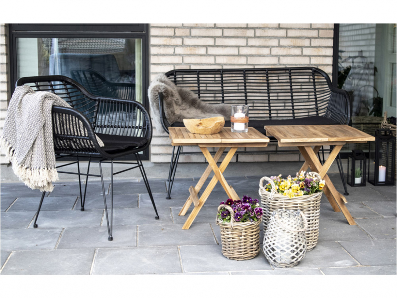 Soija 'Trieste' - Musta