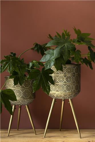 Ruukku 'Botanique' L - Messinki