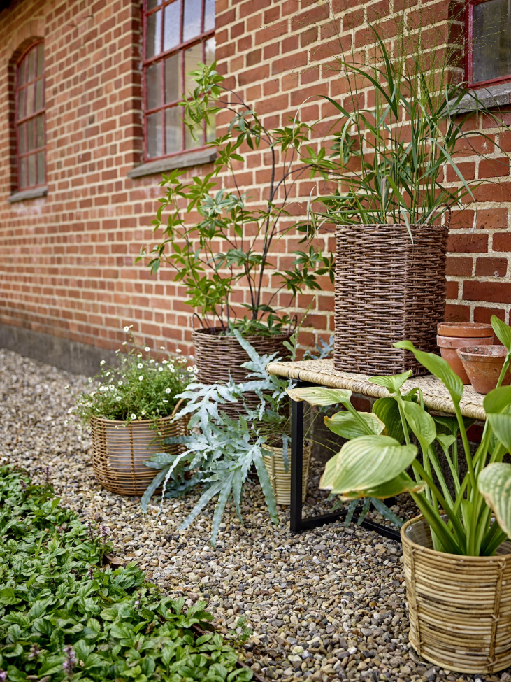 Puutarhapenkki 'Adilly' – Luonnonvärinen/Rottinki