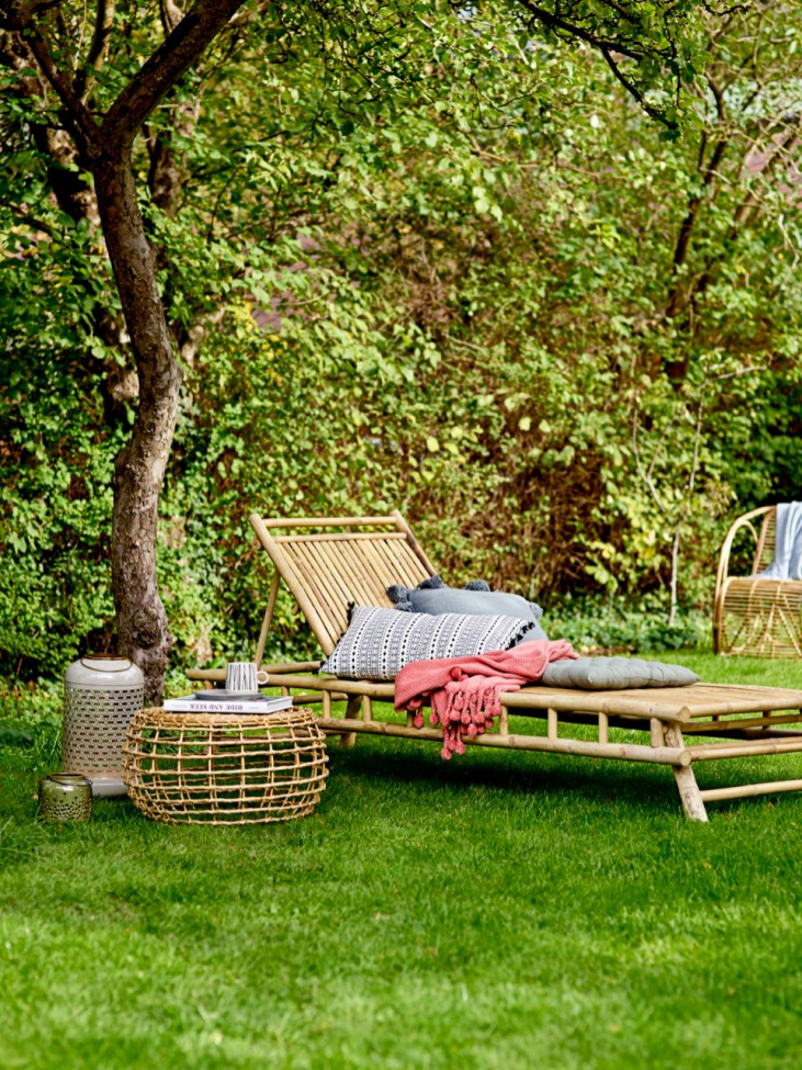 Aurinkosänky 'Bambu' - Luonnonvärinen