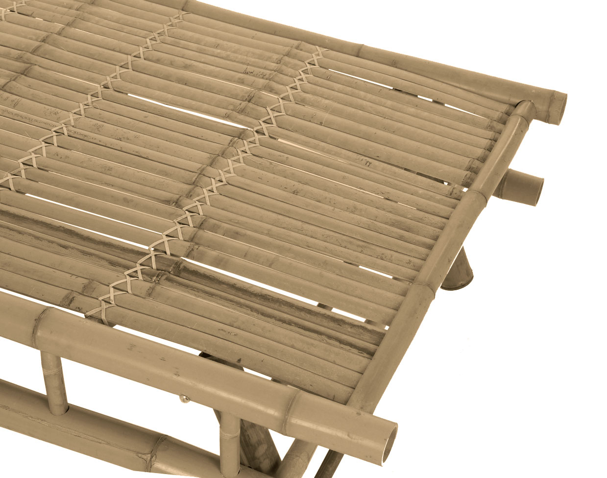 Aurinkosänky 'Bambu' - Luonnonvärinen