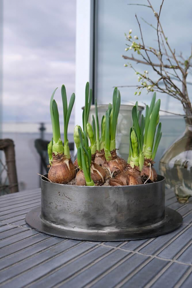 Ruukku 'Fred' L - Rauta